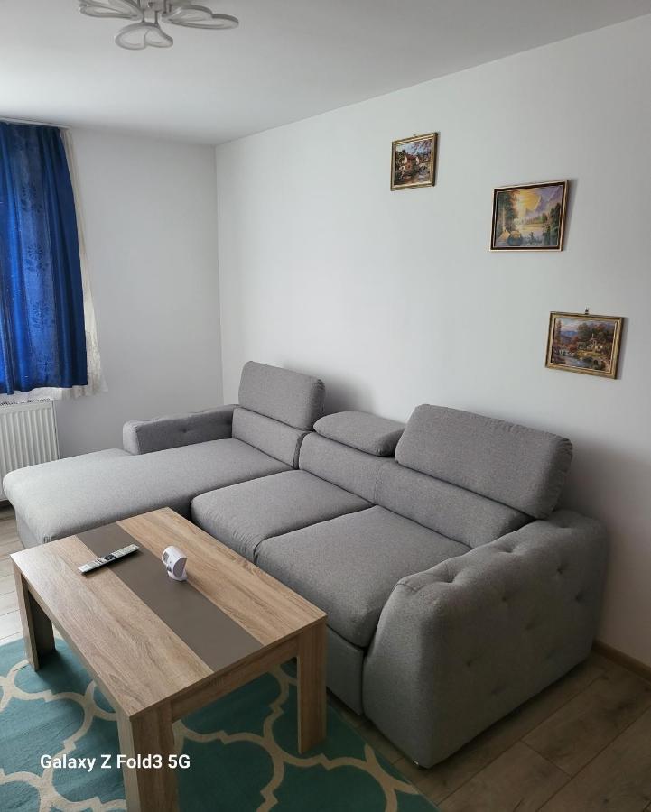 Apartament Apartament In Bucovina, Campulung Moldovenesc, Impecabil . Zewnętrze zdjęcie